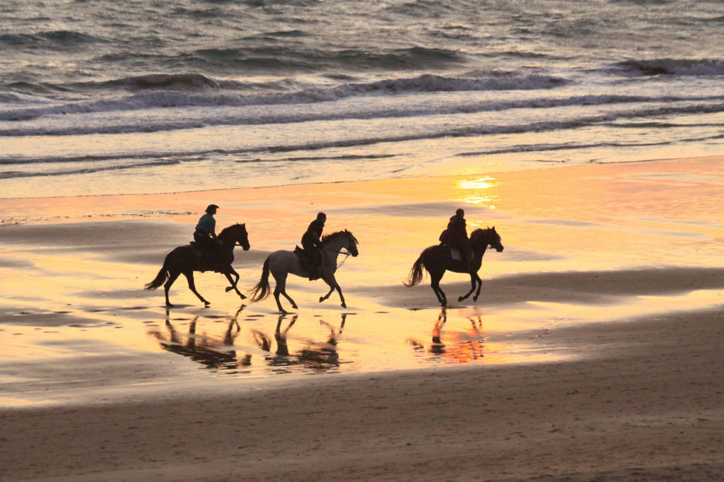 Partir en vacances avec son cheval